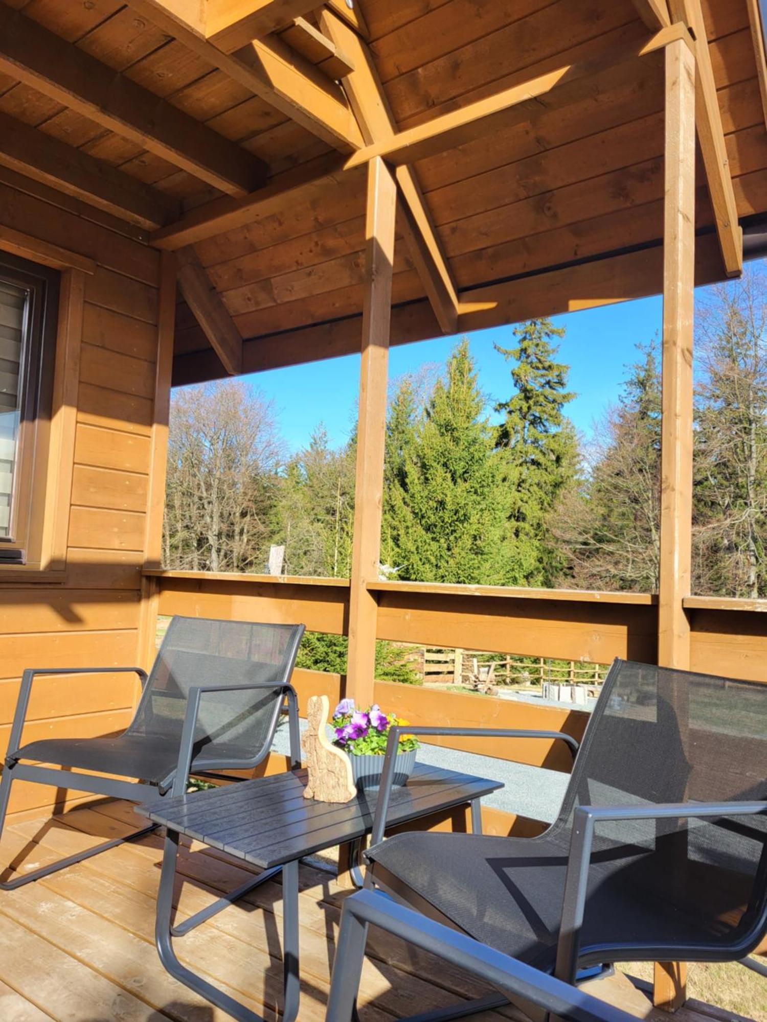 Domek alpejski Jagodna 6d-2 Jacuzzi